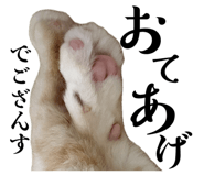 853890549