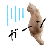 853890552