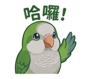 853890577