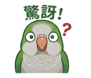 853890591