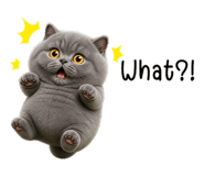 853890661