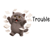 853890681
