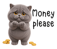 853890686