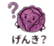 853891650