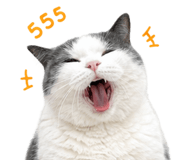 853891926