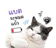 853891937