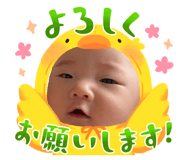 853892506