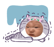 853892511