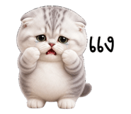 853893527