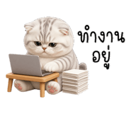 853893529