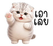 853893545