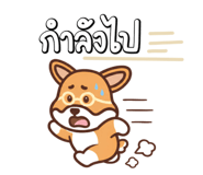 853893702