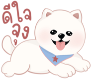 853894482