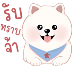 หมาอ้วนชิโร่คุง รูปที่ 32