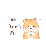 853913146