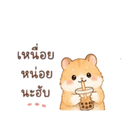 853913149