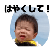 853913951