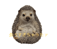 853916896