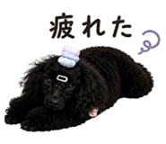 853917413