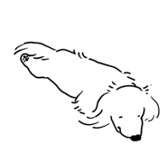 853918861