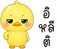 853946114