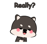 853963113