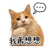 853964141