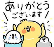 853964304