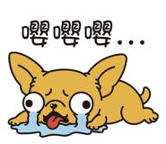 853964339