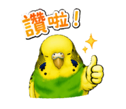 853966281