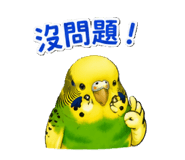 853966285