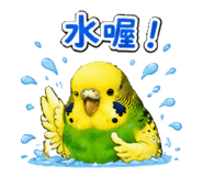 853966286