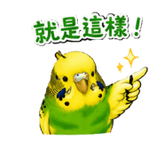 853966287