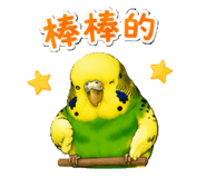 853966288