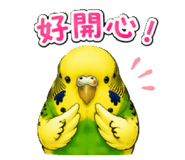 853966291