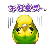 853966294