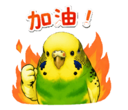 853966295
