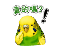 853966296