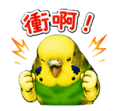 853966298