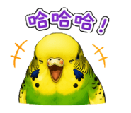 853966303