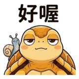 853966894