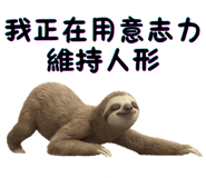 853968078