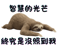 853968087