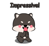 853968104