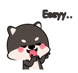 853968107