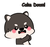 853968117