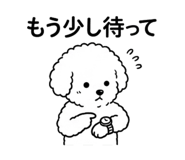 853969598