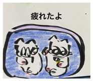 853969802