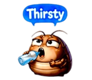 853970606