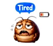 853970617